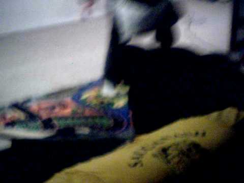 w24ny Sumo Fight!!!!