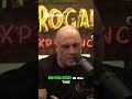 Elon Musk Slams Irish PM Over Immigration Protests &amp; Silence 🇮🇪 #joerogan #elonmusk #shorts #viral