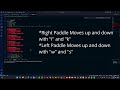 Video Game Project: Pong #programming #python #coding #videogames #gamecreation