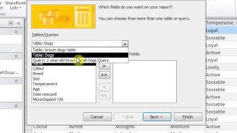 Cach tao bao cao   report trong Access 2010