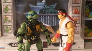 TMNT vs Street Fighter 2-Packs @ThePlaymatesToys