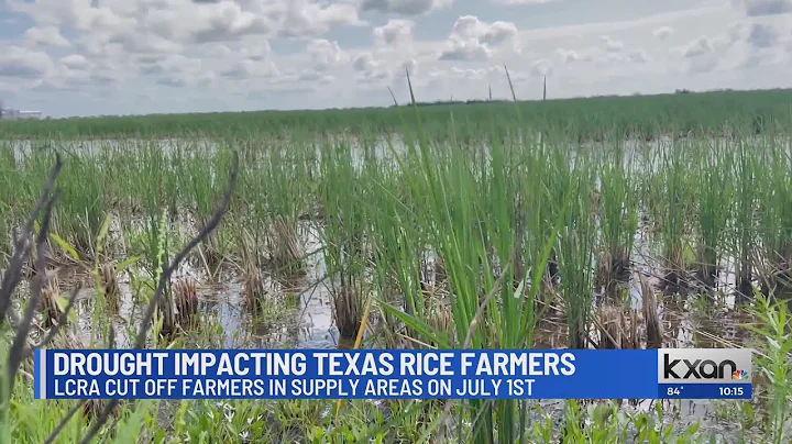 Drought impacting Texas rice farmers