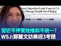 習近平有意培養她參選2028？ 華爾街日報曝鄭麗文訪美「迎3考題」1原因恐無緣會晤川普高層｜三立新聞LIVE