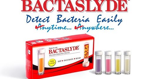 Bactaslyde - How to Use Bacteria Test Kit Dip Slide