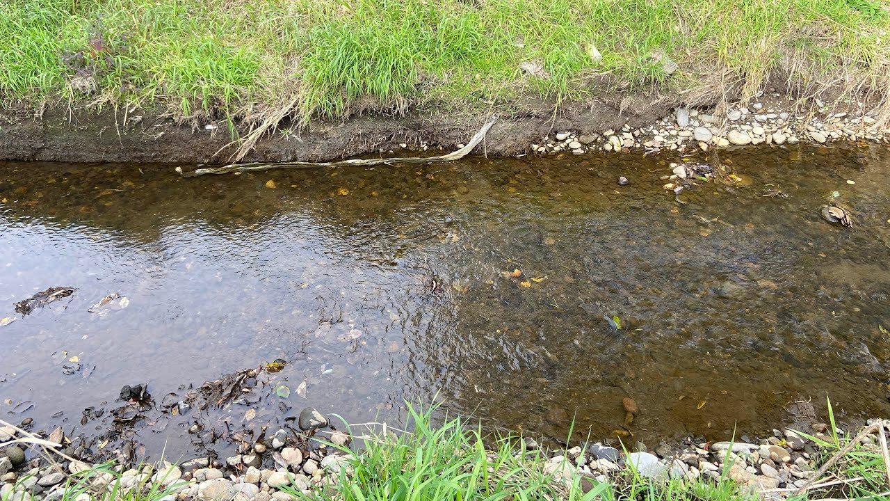 巨大魚だらけの川が消滅しました