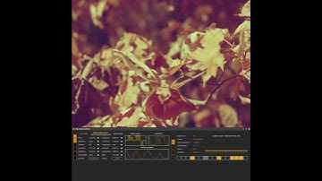 NEURALOOT BY SONUS DEPT.