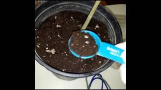 Replacing battery in Blue lab P.H meter/ Doing Slurries Again with Dutchman420