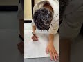 賃貸の壁ダサすぎる問題
