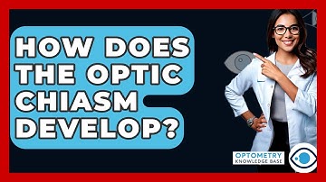How Does The Optic Chiasm Develop? - Optometry Knowledge Base