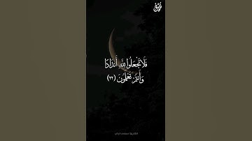 فَلَا تَجْعَلُوا لِلَّهِ أَندَادًا وَأَنتُمْ تَعْلَمُونَ - القارئ: محمد دياب