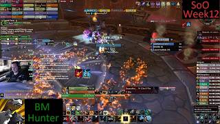 Siege of Orgrimmar 25 man 14/14 H - BM Hunter PoV - Week 12 MoP Phase 5 - 8-22-26