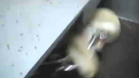 MPE Chain-Ve: Sprocket