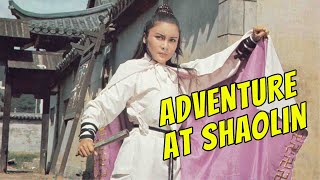 Wu Tang Collection - Adventure At Shaolin (Widescreen)