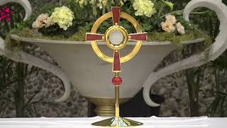 Thursday of the Sixth Week of Easter Daily Mass - 5/14/2026