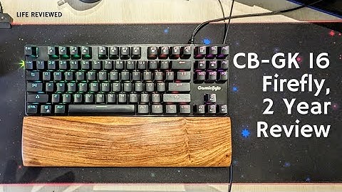2 Years Later | Cosmic Byte CB GK 16 Firefly Mechanical Keyboard | Long-term Review. Still Worth It?