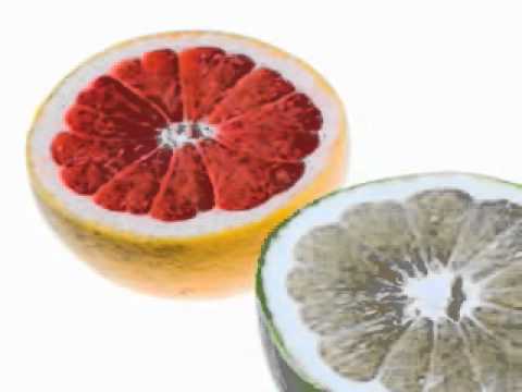 MediaPharm - Grapefruit-Drug Interactions - Greyho...