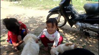 Wow Amazing Beautiful Girl Playing With Dog Smart & Funny Dog Part14