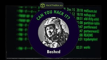 HackTheBox - Bashed | Noob To OSCP Episode #3