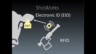 Livestock Identification using RFID and EID ear tags with ShoWorks screenshot 3