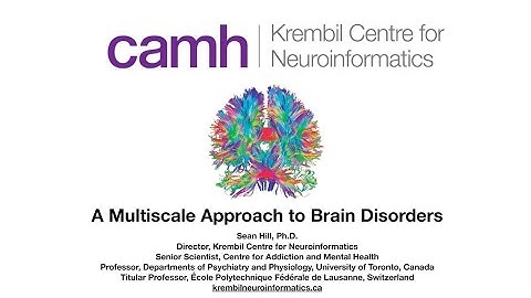 KCNI School: Lecture:  A Multiscale Approach to Brain Disorders - Sean Hill