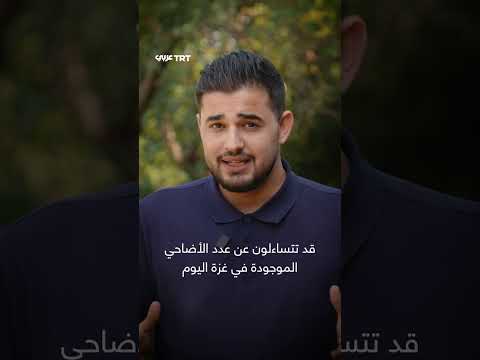 غزة: ارتفاع أسعار الأضاحي وسط أزمة إنسانية حادة