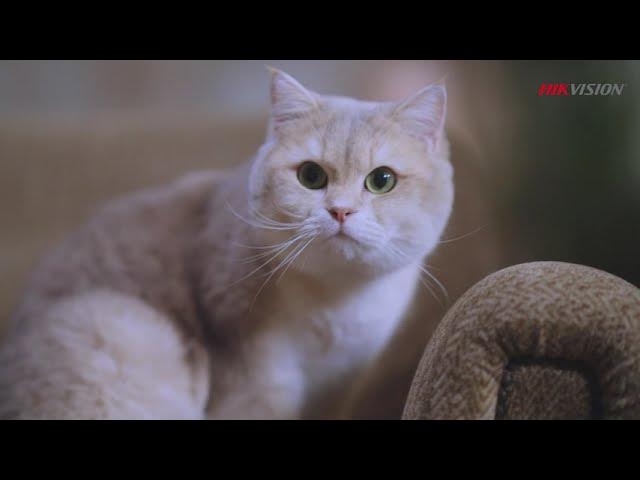 Porno tarsaki Katta sik haqida film