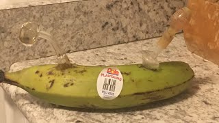 Plantain Used for toking Dab Hits (Can I Dab Bong It?!)
