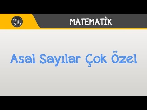 Asal Sayılar Çok Özel