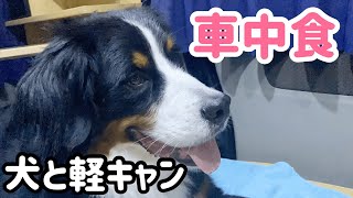 【軽キャンと犬】いつか車中泊できるようになる日を夢見て車中食を大型犬とチャレンジするぞ!【Bernese Mountain Dog & Chihuahua】【ぷちキャン】 【軽キャンと犬】いつか車中泊できるようになる日を夢見て車中食を大型犬とチャレンジするぞ!【Bernese Mountain Dog & Chihuahua】【ぷちキャン】