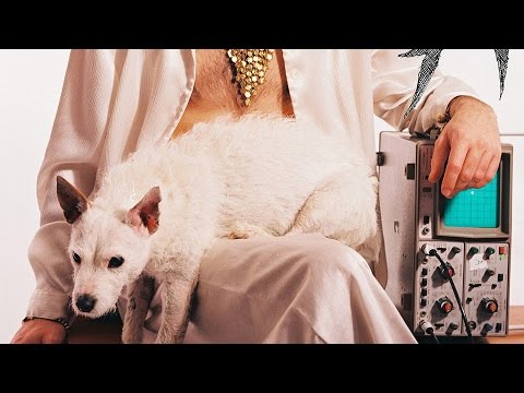 Party Zute / Learning To Love Video
