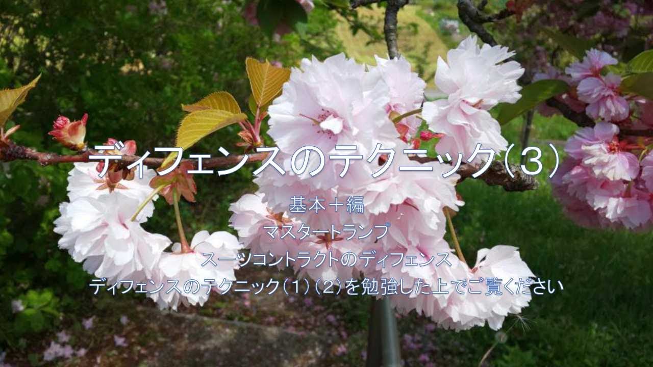 コントラクトブリッジ入門（基本＋編）ディフェンスのテクニック（３） | コントラクトブリッジ広めたいのブログ