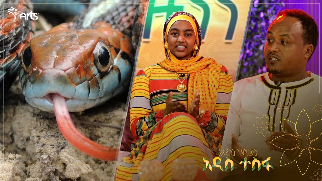አርቴፊሻል እባብ አጥተን ትክክለኛ እባብ ለቀረፃ ተጠቅመናል 😂 - አዝናኝ ቆይታ ከዮቶራውያን ድራማ ደራሲ እና አዘጋጆች ጋር! @ArtsTvWorld