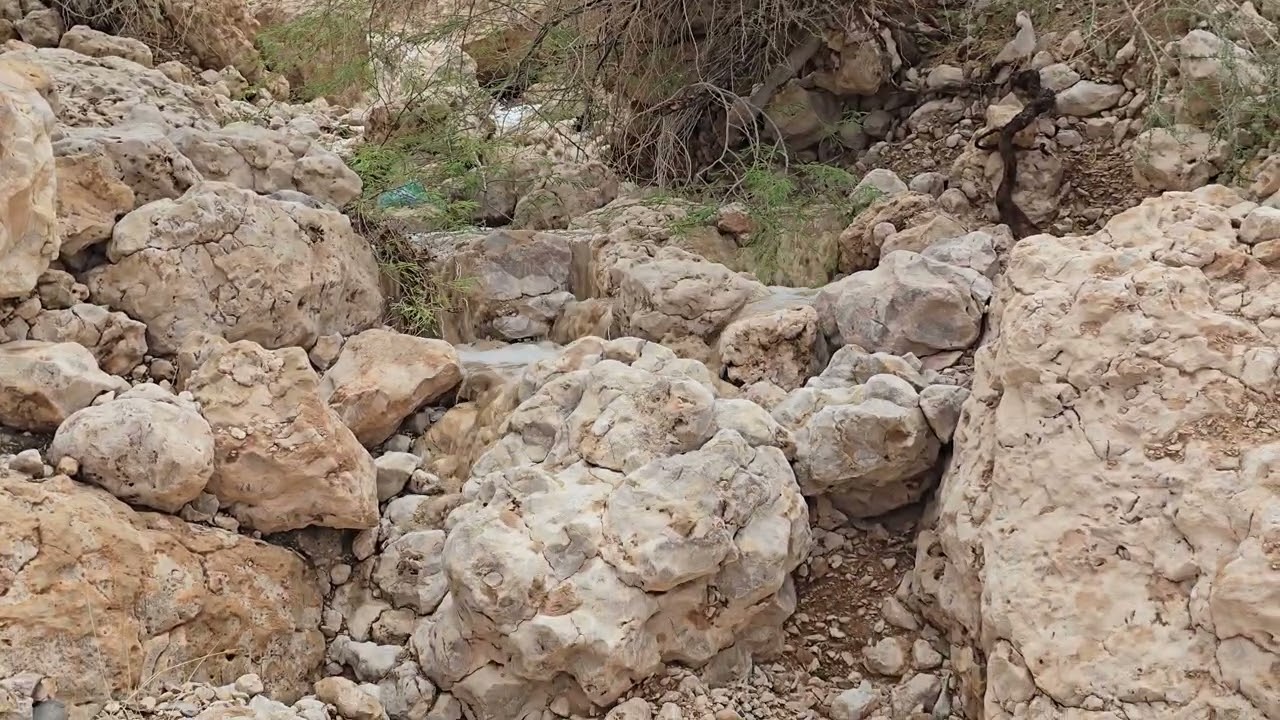 من ذكريات امطار حضرموت حصن مطهر