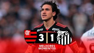 Flamengo vs. Santos 2-1 I Game Highlights I Brasileirão 2026
