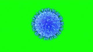 Green Screen virus / infection / bacteria /germs