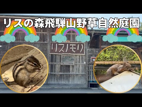 【画像あり】 リス の 森 飛騨 山 野草 自然 庭園 2026年最新芸能速報 #720