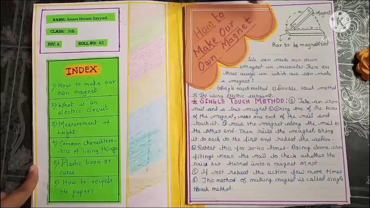 Science Portfolio Science Project for Class 6 Science Activity Art Integrated