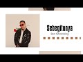 Ben Sihombing - Sebegitunya (Lirik)