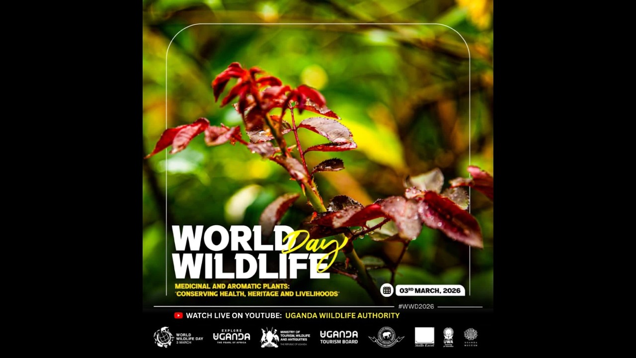 World Wildlife Day Celebration