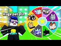 Random Pet Challenge (EXCLUSIVE PETS ONLY)