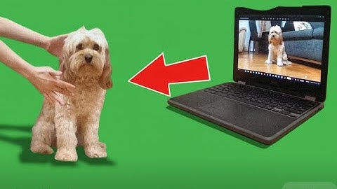 How to *easliy* Turn digital matter physical (Ft My dog) #tutorial #funny #skit #dog