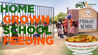 Home-grown School Feeding Programme (HGSFP) Go Beyond Education & Nutrition