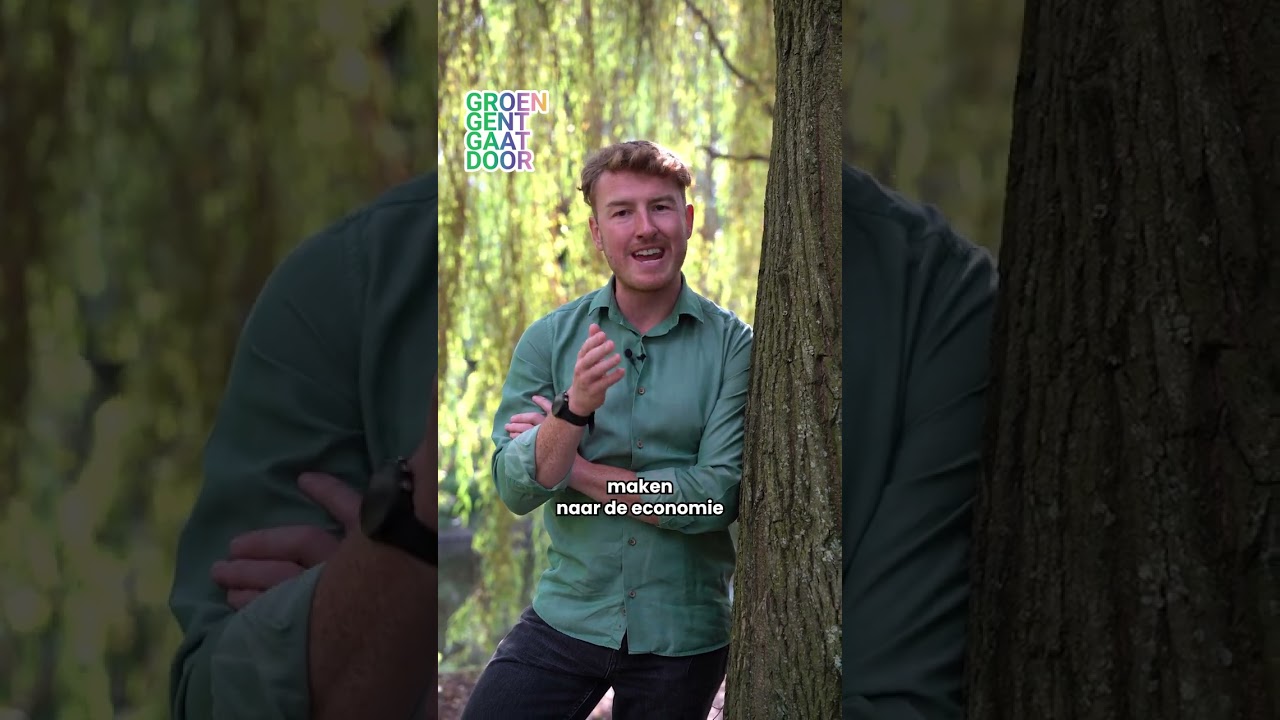 Bram Van Braeckevelt - Mag ik zondag op jouw stem rekenen?