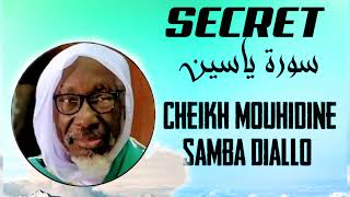Secret souratou Yacine par Cheikh Mouhidine Samba Diallo 🦻🦻