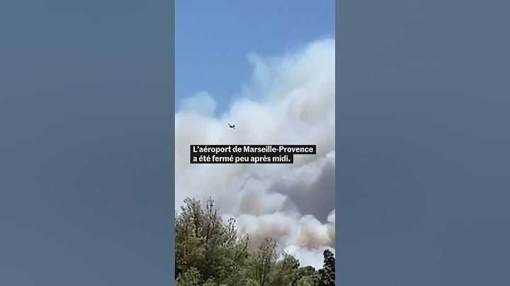 Marseille : les premières images de l'incendie qui atteint la ville