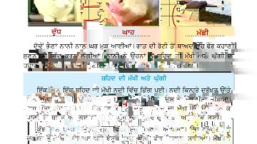 lesson 7 evs , (Jantu--ik jan-pehchan), page 39-40 ,class 3 (Meri dunia, PSEB)