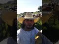 Sextou cambada