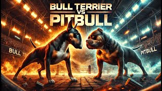 Pitbull vs Bull Terrier: The Ultimate Power Showdown