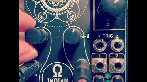 ERROR INSTRUMENTS “Indian Resonator 2”