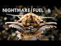 Bobbit Worms: Pure Nightmare Fuel